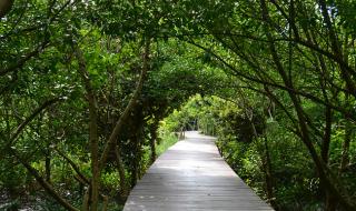 珠海横琴岛 珠海横琴岛